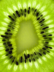 Kiwifrucht im Detail