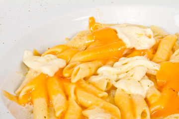 Penne pasta with parmesan, dor blue, chamamber and mozzarella