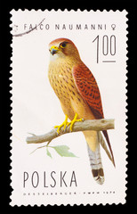 POLAND - CIRCA 1974: A stamp printed in Poland, shows small bird