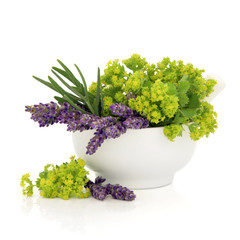 Lavender and Ladies Mantle Flowers