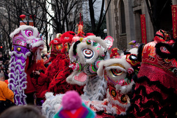 Danse du lion, Nouvel an chinois