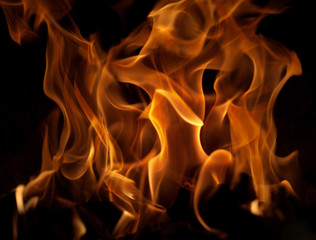 Fototapeta premium Flames