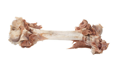 Bone with meat