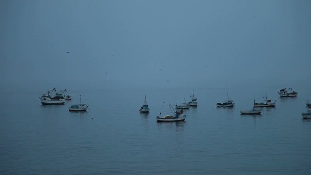 Fischerboote
