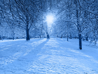 Blue Snow scene with light shafts