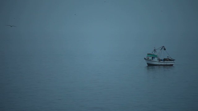 Fischerboote