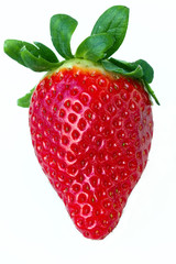 fresh red strawberry