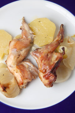 conejo