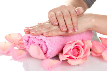 Obraz na płótnie Canvas Pink rose with hands on white background