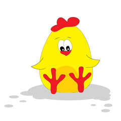 Cute chicken.