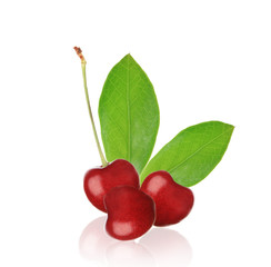Cherries on white background