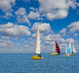 sail regatta