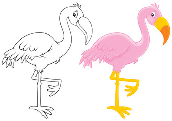 Fototapeta premium Pink flamingo