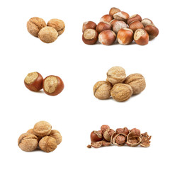 set of a nuts