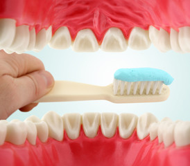 mouth from inside and tooth-brush