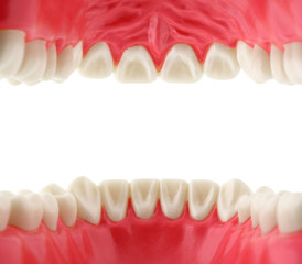 mouth with teeth, inside view