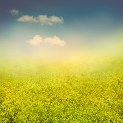 Summer or spring background