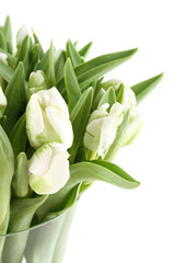 Obraz premium Tulips Bouquet