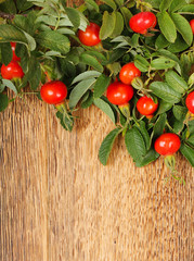 Dog rose on a wooden surface