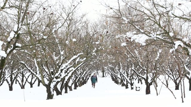 man in the snow