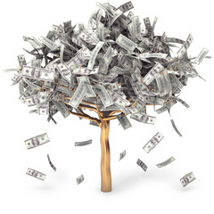 Dollar grows on a tree, money Tree, on a white background
