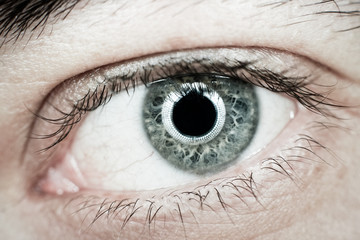 Eye