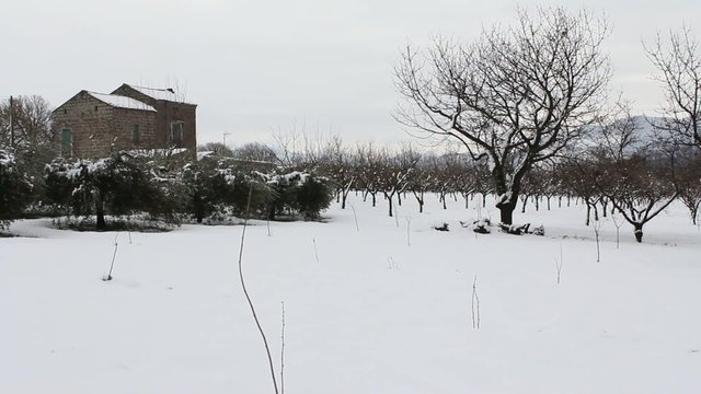 campagna innevata