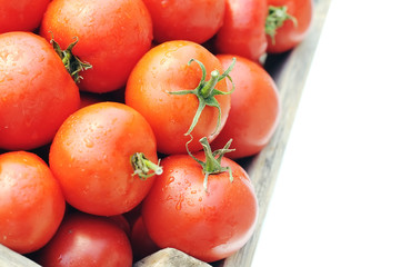 Ripe tomatoes