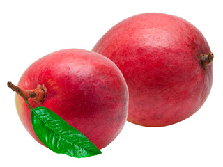 Mango isolated on white background
