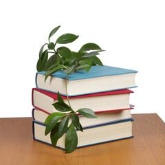 A stack of books with a curling flower
