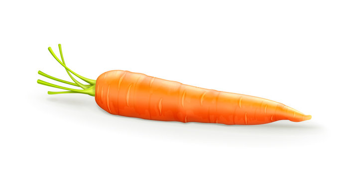 Carrot © Natis