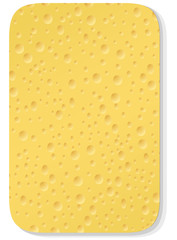 Yellow washing sponge