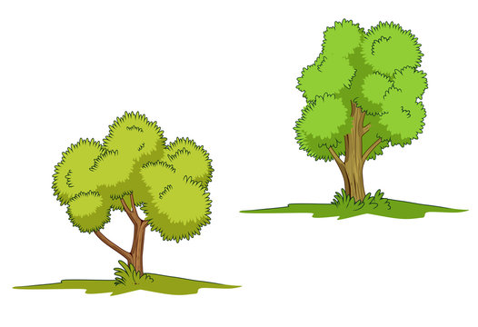 Isolated green trees