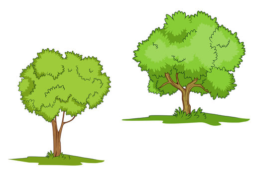 Green trees with grass