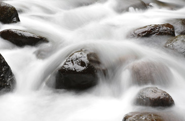 Stream