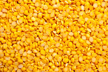 soybean