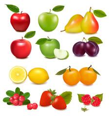 Big group of different fruit. Vector.