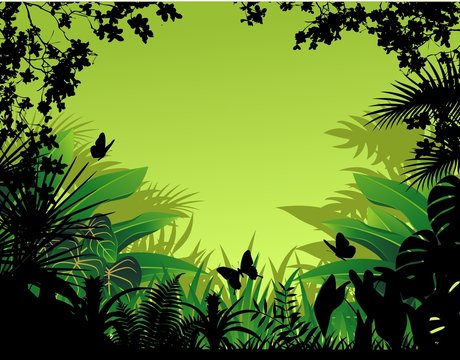 Tropical Forest Background