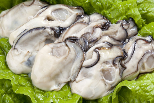 生牡蠣