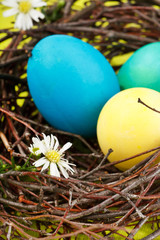 Easter eggs in a nest