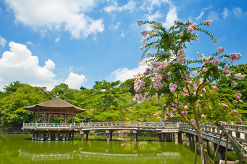 Gazebo in Nara