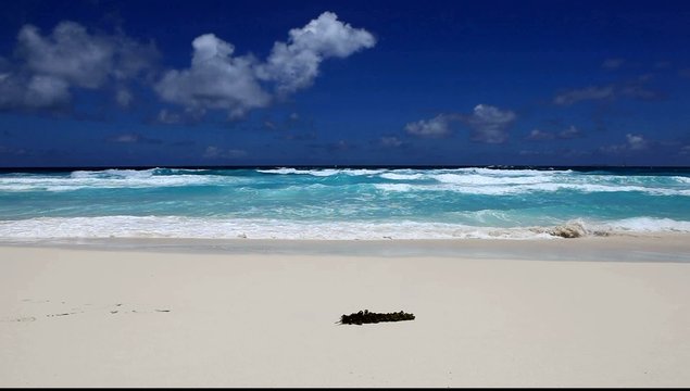 grand bleu et plage de sable blanc