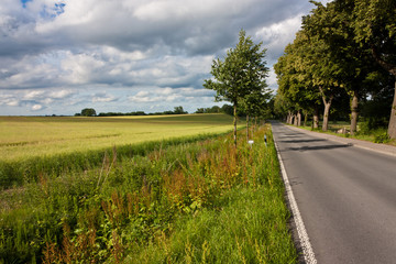 Straße am Feld