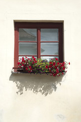 Fototapeta na wymiar The ancient window w flowers