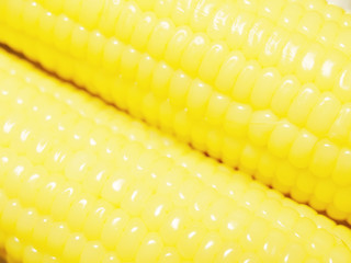 Close up to fresh corn