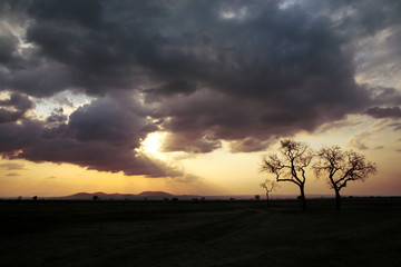 Fototapeta na wymiar Sunset in Tanzania