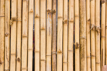 bamboo wall