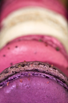 Macarons roses et violets align&eacute;s, macro