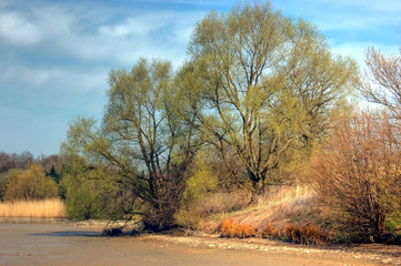 abgelassener Fischteich im Frühling