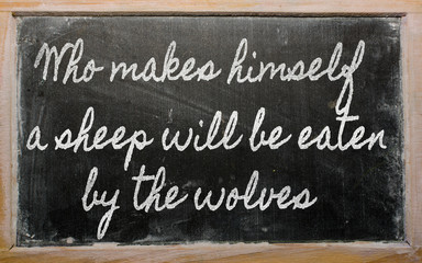 Fototapeta premium expression - Who makes himself a sheep will be eaten by the wol
